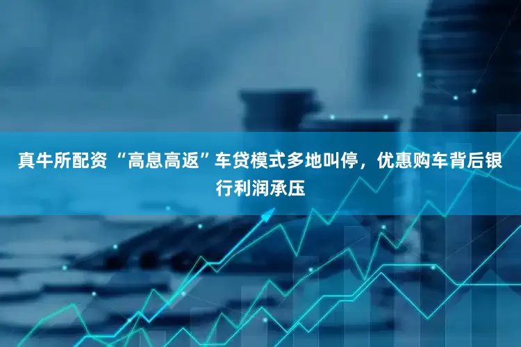 真牛所配资 “高息高返”车贷模式多地叫停，优惠购车背后银行利润承压